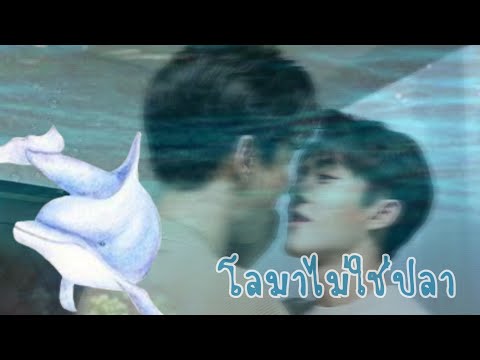 opv โลมาไม่ใช่ปลา🐬 | kinnporschetheseries #จ๊อบบาส #บาสจ๊อบ