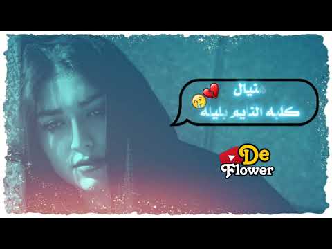 هنيال كلبه النايم بليله محمد الحلفي ايوب الفريجي حالات واتس اب حزينه