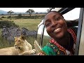 Mikumi National Park || Safari and Luxury tented Camp