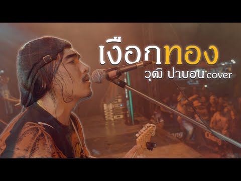 เงือกทอง : วุฒิป่าบอน COVER (Original อ่าวอันดา) | อินดี้คลาสสิคV1