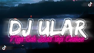 DJ ULAR V3 GAK JELAS TAPI ENAKEN - Dj Ular V3 Mengkene Tiktok 🎶☘️
