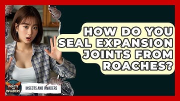 How Do You Seal Expansion Joints From Roaches? - Insects and Invaders