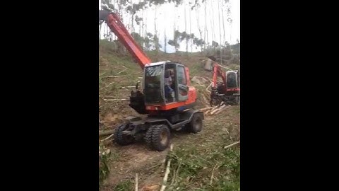 Wood timber log grabber loading demo with automatic transmission