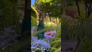 Testing NEW OGX ProGrowth Peptide Mist | PINCHme Unboxing #thickhair