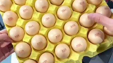 UKCM(HKCM) VIDEO - Our Coding and Marking Printing Solutions for Egg coding .