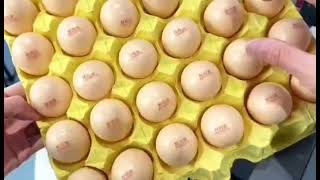 Ukcmhkcm Video - Our Coding And Marking Printing Solutions For Egg Coding .