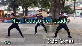 Meu Pedaço De Pecado  Coreografia Gusttavo Dance