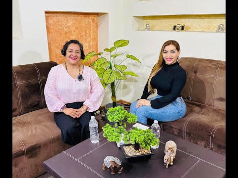 ✨ La Charla con Liz ✨