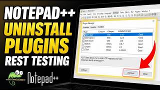 How to uninstall Notepad++ plugins for REST testing - Beginner Guide