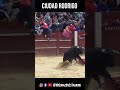 Recibe el Toro a Porta Gayola en Ciudad Rodrigo