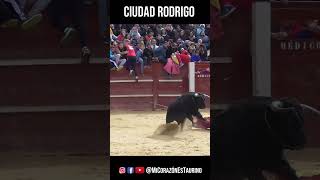 Recibe el Toro a Porta Gayola en Ciudad Rodrigo