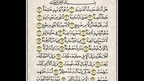 سورة الغاشية بصوت أخيكم جلال ابو ياسر