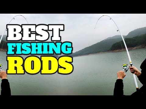 Best Fishing Rods Of 2024!