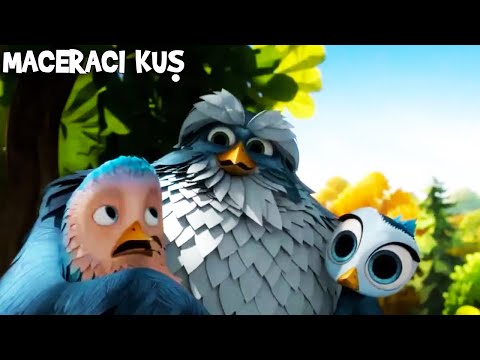 Darius, Kedilere Yakalanıyor | Maceracı Kuş  Animasyon Filmi