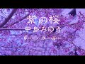 #紫の桜 #中島みゆき #Covered by #Blue&gray #ぶるぐれ
