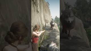 INSANE RDR2 Gameplay! EPIC Girl SOLO CRAZY FOX PACK Fight in WILD ESCAPE #shorts #gaming