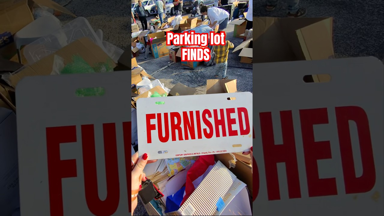 Shopped around at a parking lot garage sale thingy and scored big! 