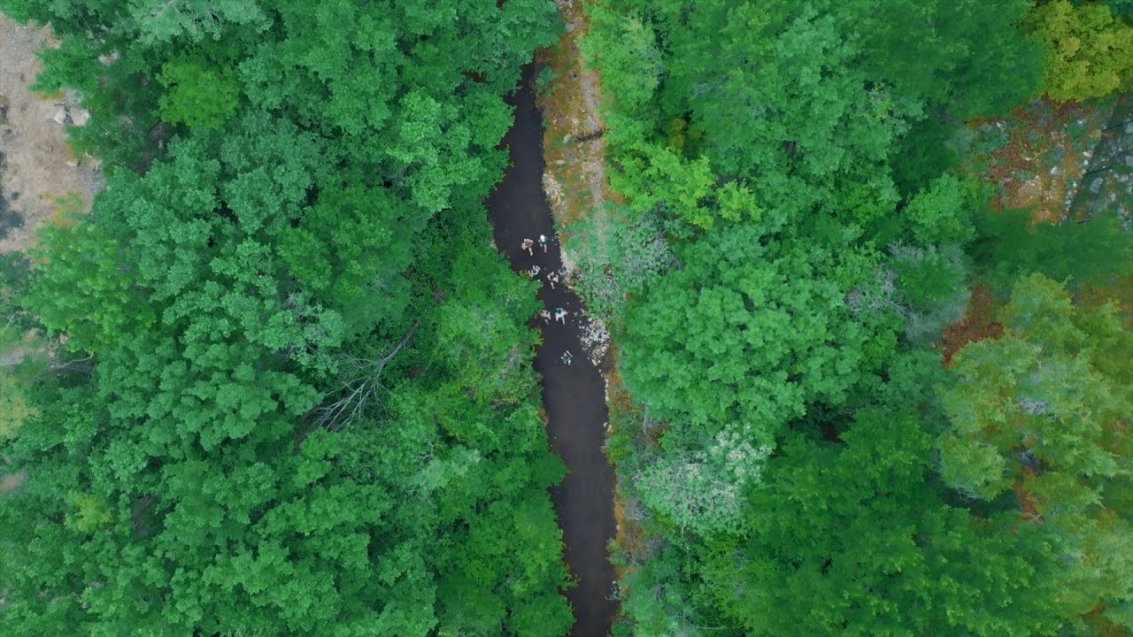 The Roots of Happiness | XTERRA