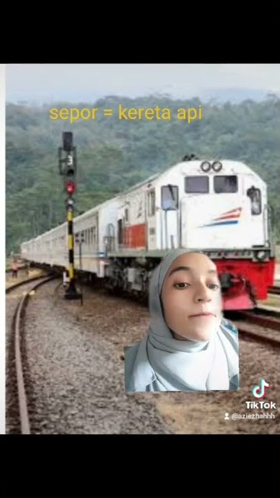 bahasa palembang check