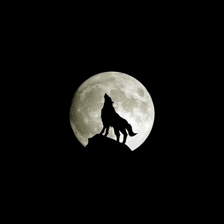 PLAY DATE▪︎LYRICS WHATSAPP STATUS ▪︎BLACK SCREEN▪︎ PATEL ROHAN 07▪︎😍