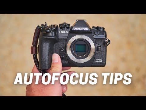 5 AUTOFOCUS TIPS for Olympus OM-D