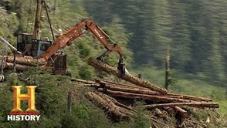 Ax Men: No Place Like Home? | History