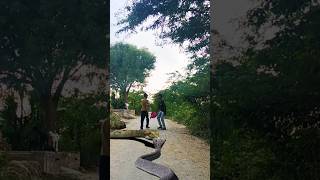 Shiv tandav stotram | Hara hara shivsambhu #shorts #shortvideo #vfx #anaconda