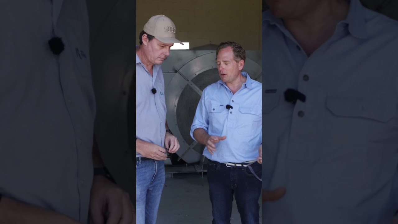 Maize, Soybeans & Their Own Hydroelectric Dam, Inside Reinhofer Group #brazilfarming  #farming