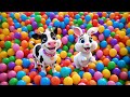 Moo Moo Cow and Friends Dance on a Candy Jelly | Fun Animal  Rhyme for Kids | Sweet Dance Adventure