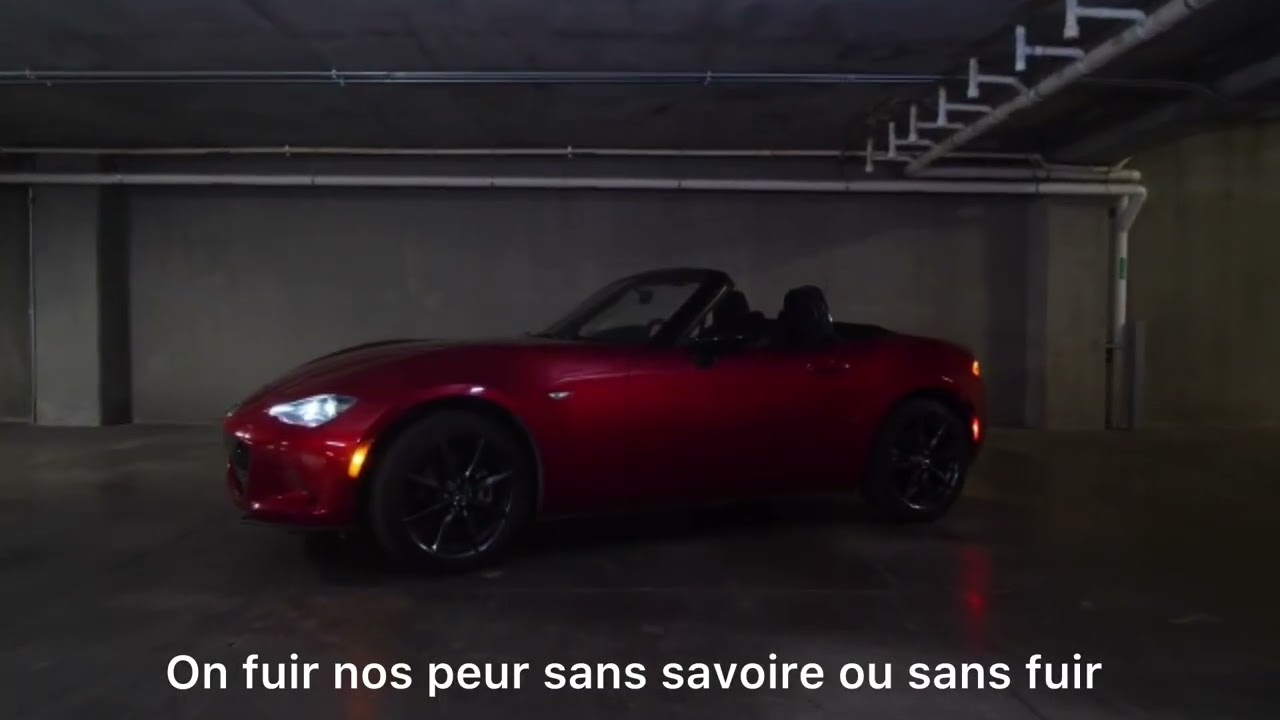 NBJ_LA VIDA (Vizualiser)