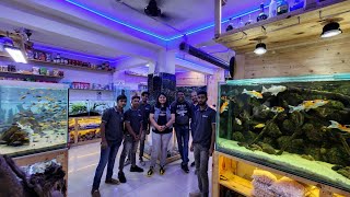 Blessings Aquarium Pune