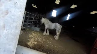 Exploring Abandoned Farm Gone Wrong!