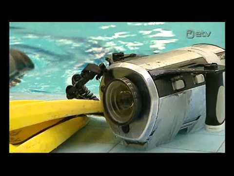 Video: Maailma parimad sukeldumiskohad