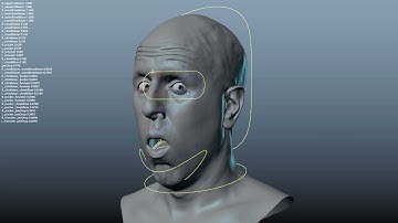 Facial Rig - Facial Expressions Animation