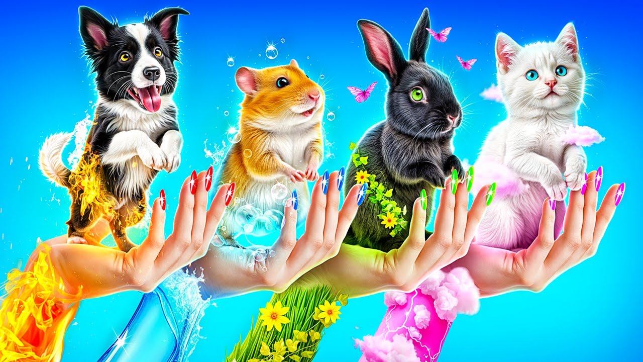 Ich habe 4 Elemente Haustiere Gerettet! Wir Bauen Geheime Räume für Haustiere