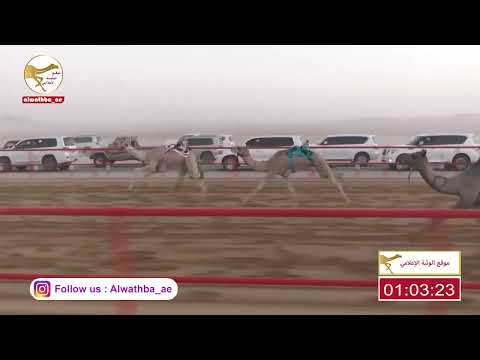 الشوط 4 نادر لـ سعيد ناصر بن احمد الدرعي 2 09 90 شارة الصندوق 2023 06 18 فطامين الرقيعات