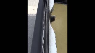 A.s.s. Spl Show 30 Cm Subwoofer Xmax Zirve