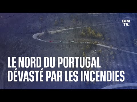 Les images du nord du Portugal, dévasté par les incendies