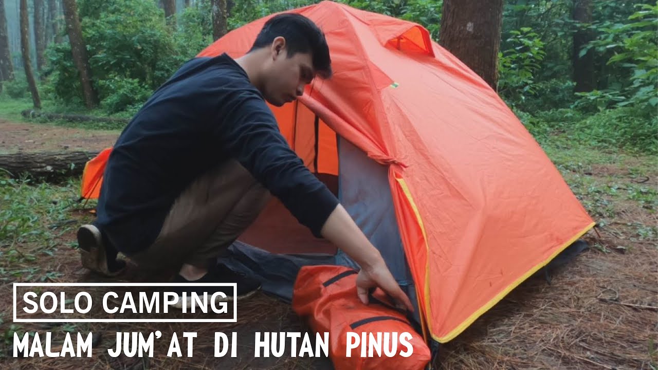SOLO CAMPING DI HUTAN PINUS BERKABUT SELEPAS HUJAN | ASMR