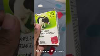 How to give deworming to puppies and dogs