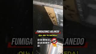 #controldeplagas #domicilio #fumigacion #plagas #reels #cocina #shorts #servicios #cucaracha #casa