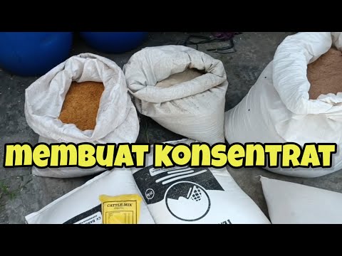 Video: Bagaimana cara meminjam 