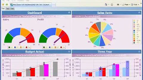 Business Intelligence Demo Video