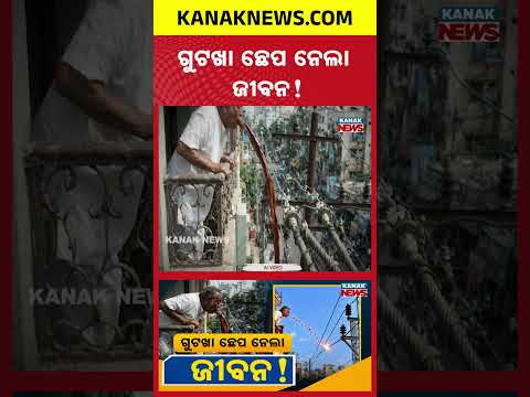 ଗୁଟଖା ଛେପ ନେଲା ଜୀବନ! | Special Report On Gutkha Turns Fatal | Man Electrocuted by High-Tension Wire