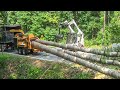 Worlds longest  biggest whole tree chipping machines dangerous wood chipper shredder working