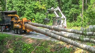World's Longest & Biggest Whole Tree Chipping Machines, Dangerous Wood Chipper Shredder Working