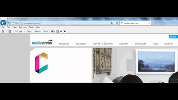 Onscreen Display of Execution Progress for Selenium using AutoIT