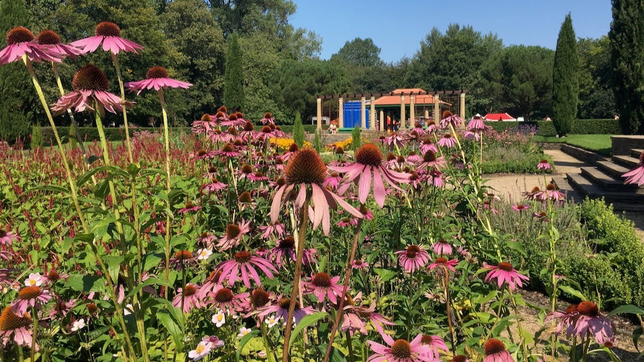 Thompson Park YouTube