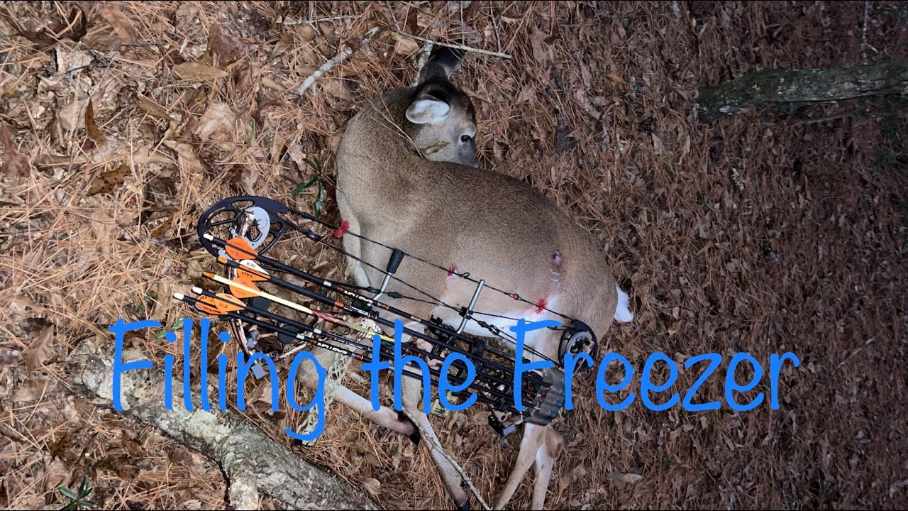 Alabama Public Land Bow hunt. Vocal deer. 6th deer harvested with