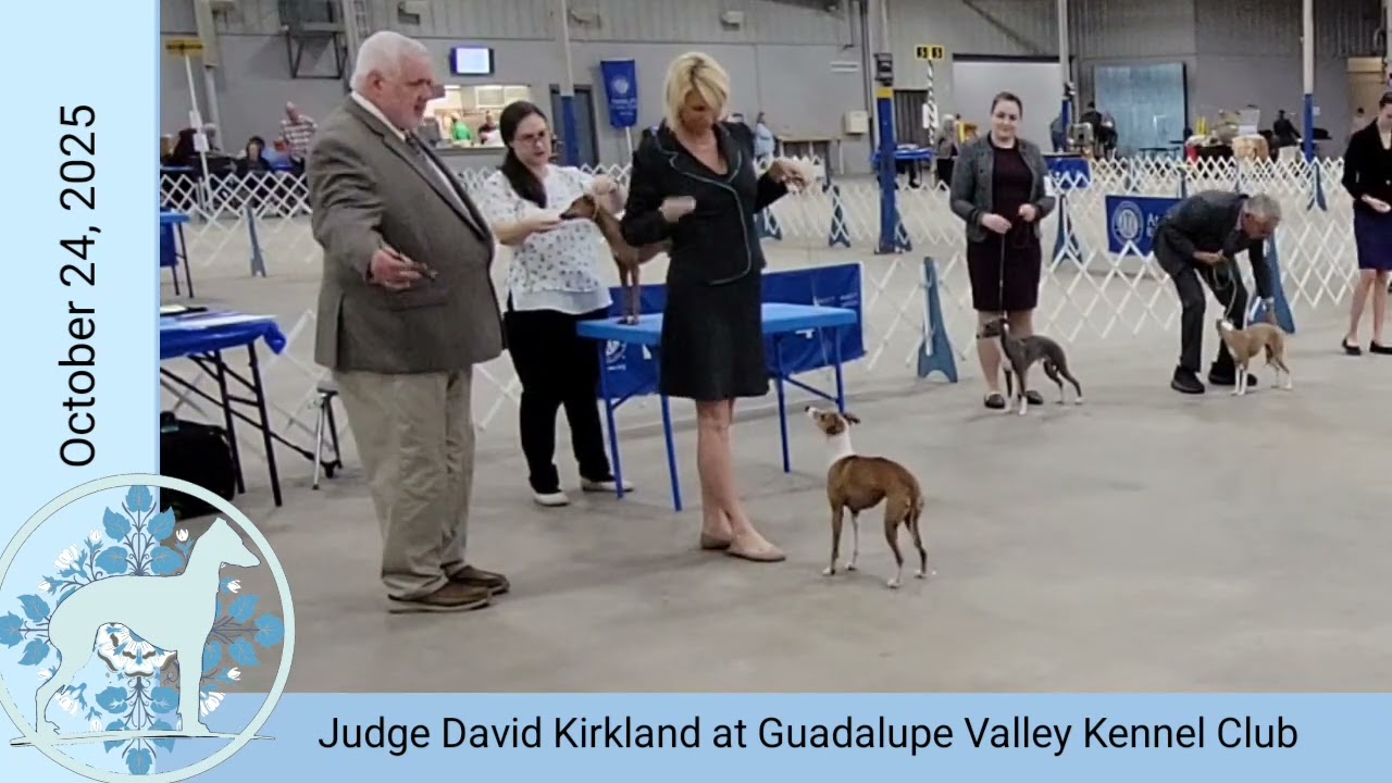 Taylor and Reef win Best of Breed in Belton TX under Judge David Kirkland